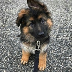 :3