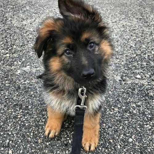 :3
