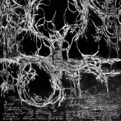 BAW - V I P (DISSECTED) clip