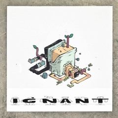 Ignant (Produced By SunnyMac)