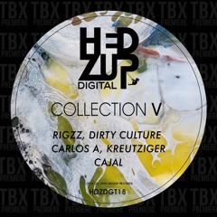 Premiere: Rigzz - Let Me Driv [hedZup Records]