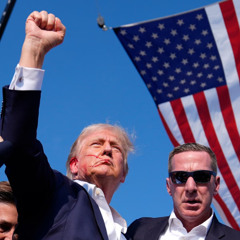 Freedom