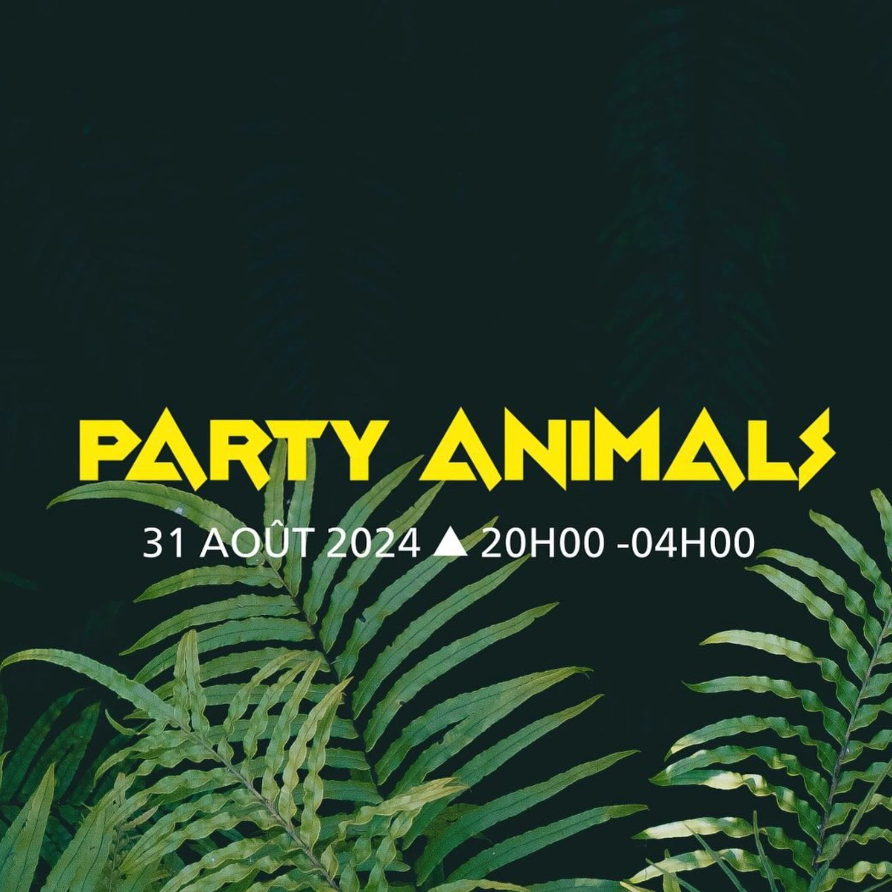 Mozzy Rekorder @ Gruuve - Animal Party - Perpignan (FRANCE) 31 August 2024 episode artwork