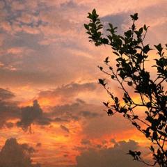 정동원 - 불어와