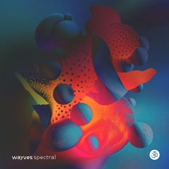 WAYVES - Walaka