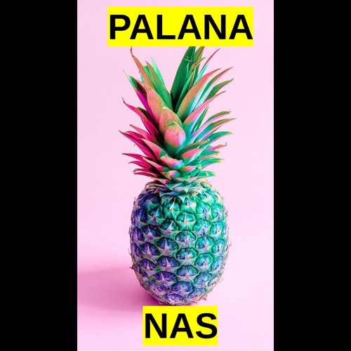 Palana Le Hacker 👨‍💻