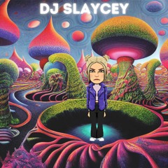 Slaycey: Live House Set