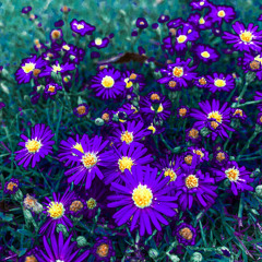 FREDDIE BREAD feat. HEADASS U