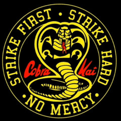 Cobra Kai🔥🥋😤🐍👊🏼🥊