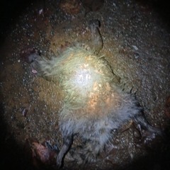 Fuketsu Trap metal type beat (FREE) [Prod. Fuketsu]