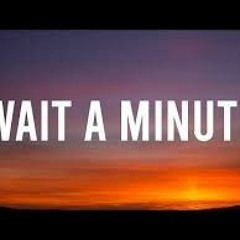 Willow - Wait A Minute! (Tiktok Remix)