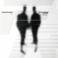 David Guetta and MORTEN Feat. RAYE - You Can't Change Me (Üdit Remix)