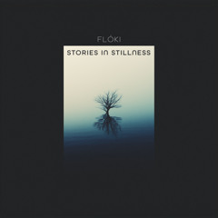 Stories In Stillness