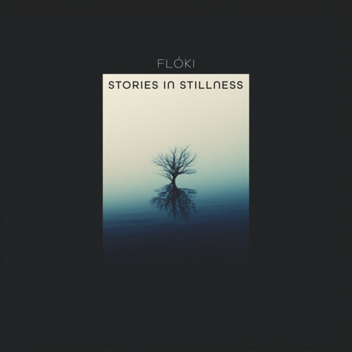 Stories In Stillness