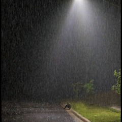 fazoblowin - limerence