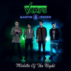 Middle Of The Night (Steve Void Remix)