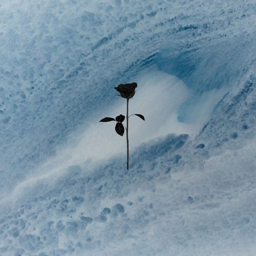 PREMIERE: Alexandros Djkevingr & Greg Ignatovich - 86ing (Erly Tepshi Remix) [Black Rose]