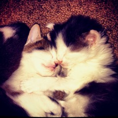 tectt - stillremember @leanloverrr