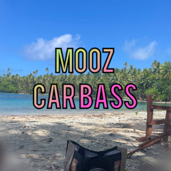 MOOZ CARBASS - MX BASS - 3K
