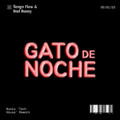 Ñengo Flow ft. Bad Bunny - Gato De Noche (Numia 'Tech House' Rework) [Remix] [Lolly Pop Premiere]
