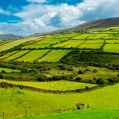 01.01.2024 (Irish escape)