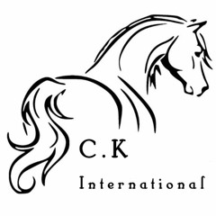 repetitive background music - a Skinimal promo