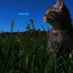 Insanity