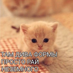 0 похвал - UWUMANIZER