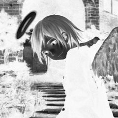 vitrine (northeast lights)