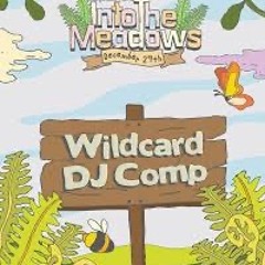 DRKS ROLLING MEDOWS WILDCARD ENTRY 2025