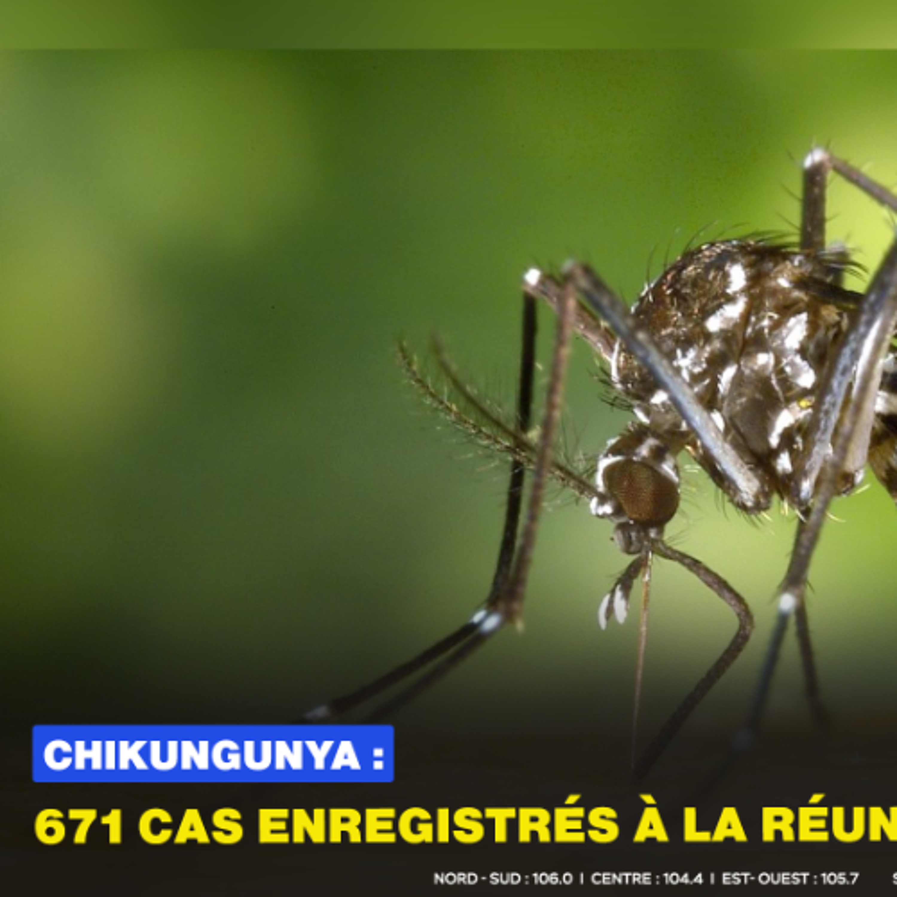Chikungunya : 671 cas enregistrés à La Réunion