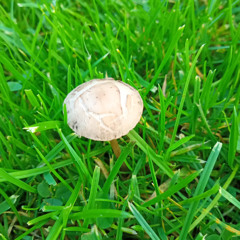 kettimin killed the party 2nd