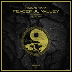 Nicolas Viana - Peaceful Valley ( Alley SA remix)