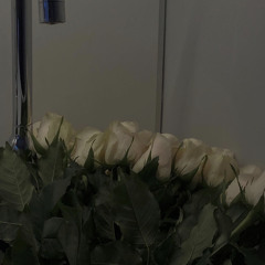 وسيبني اعيش انا نسيتك*