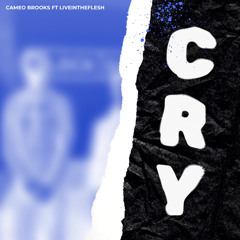 Cameo Brooks ft Liveintheflesh - Cry