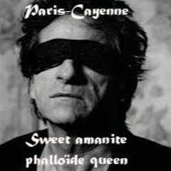 Sweet amanite phalloïde queen (Thiefaine cover)