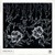 Artwork for Mystic State & Rowl - Alocasia [The Chikara Project]