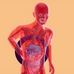 Viral hepatitis is a systemic disease: from the skin to the nervous system