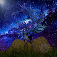 Card Holder - Stories