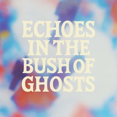 echoes in the bush of ghosts