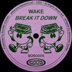 PREMIERE: Wake - Brainiac [SOUND SOUND]