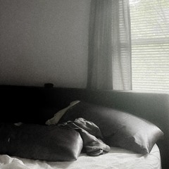 velleity(prod.lilacbeats)