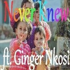 Never Knew ft. Ginger Nkosi