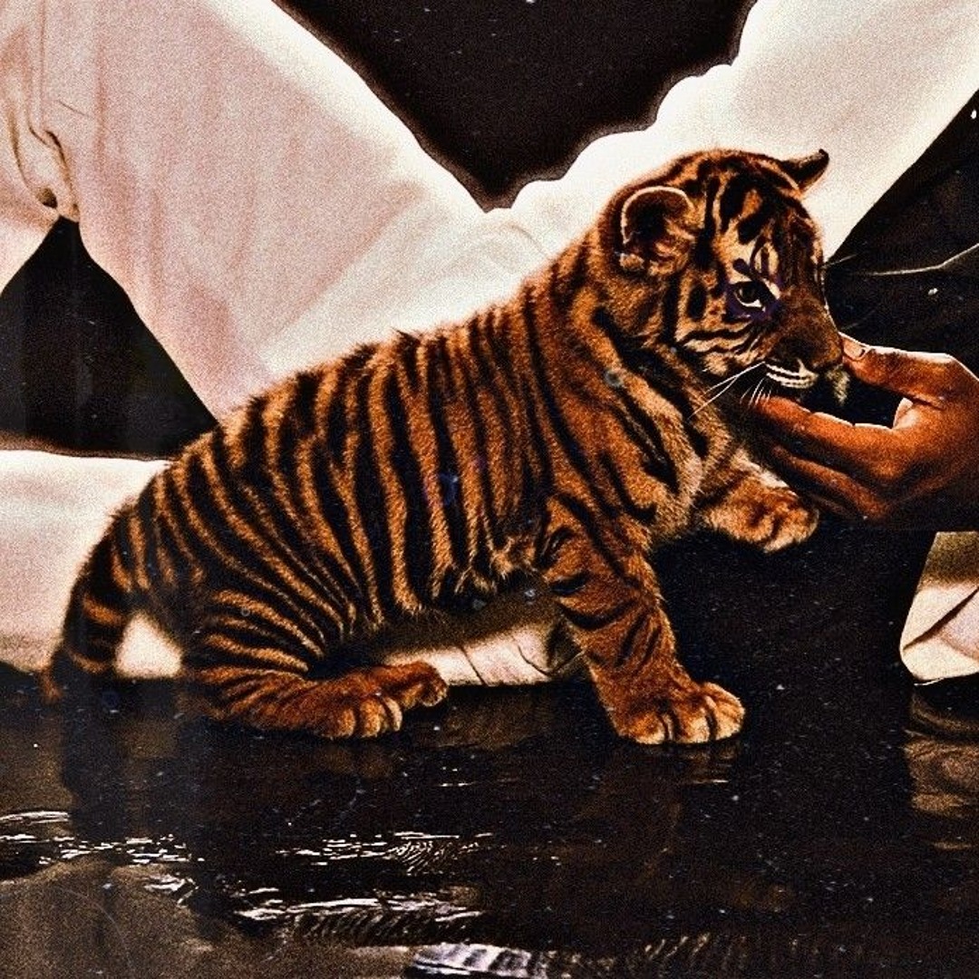 Stream mŸ wÖRLd, by Roc X | Listen online for free on SoundCloud