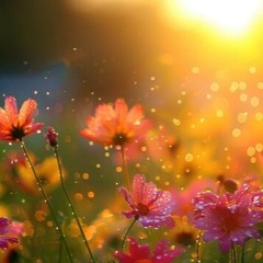 gyvenimo refleksijaksija su @bek0jis