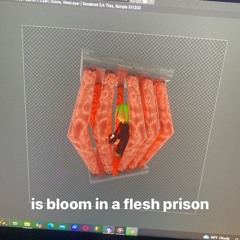 prison flesh (prod. Bloom7k)