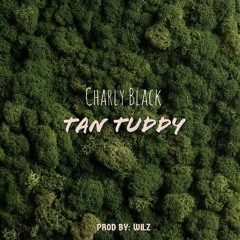 Tan Tuddy feat. Charly Black(Moombahchill Remix)