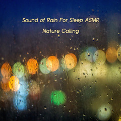 수면을 위한 빗소리 ASMR Sound of Rain For Sleep ASMR