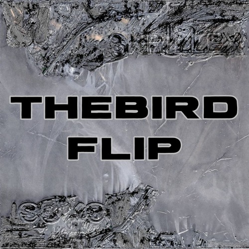 SKRILLEX & ISOXO - FUZE (THEBIRD FLIP)