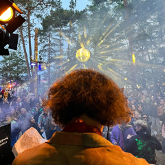 Wurzel Festival 2025